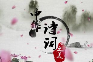 在这个世界里消失的灵魂